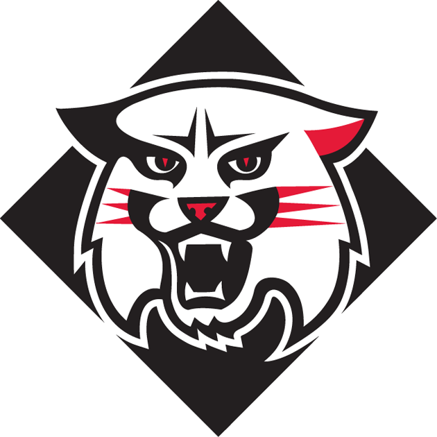 Davidson Wildcats 2010-Pres Alternate Logo diy iron on heat transfer